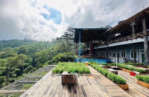 Da Lat Cabin | Horizon Coffee-Homestay Đà Lạt