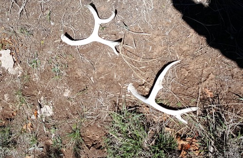 Lewis RV Rental | Horny toad point RV space up above Dolores Colorado book today great view s!