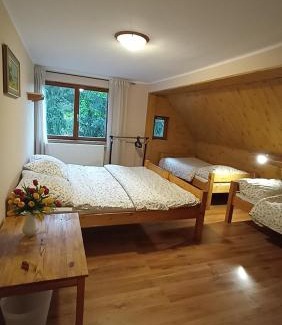 Desna Ski Chalet | Horská Chalupa Nad Zubačkou