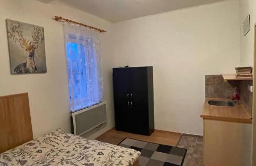Jachymov Apartment | Horský apartmán
