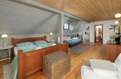 Janske Lazne Ski Chalet | Horský dům OLYMPIA