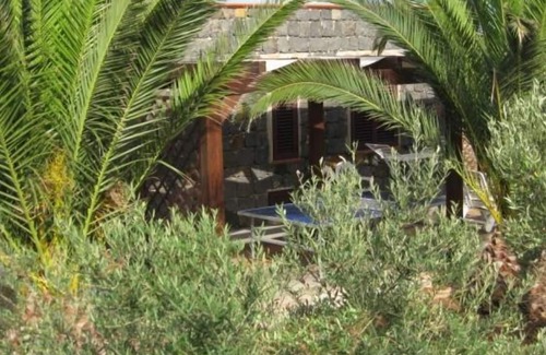 Ustica House | Hose of the palm trees, 5000 sq.m of garden, and there is a vegetable garden ava
