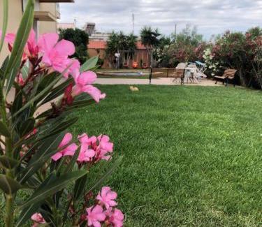 Korithion Apartment | Hospitality in Mythical and Historical Peloponnese1