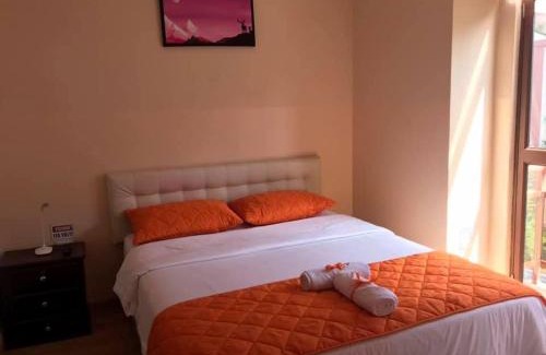 La Mariscal House | Hostal Casa Luz Pinto