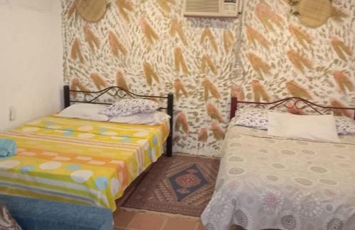 Villavieja Bed & Breakfast | Hostal ROLLED