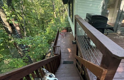 Lake Lure House | HOT TUB, FIRE PIT, DOGS WELCOME, 3 min from newly opened Chimney Rock.