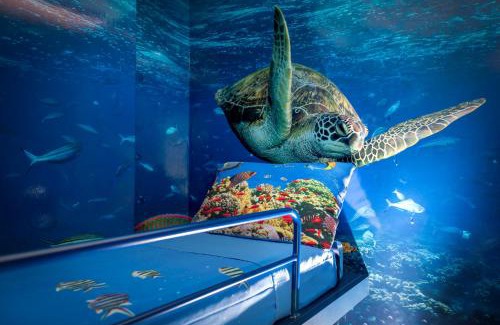 Fogliano Marina Hotel | Hotel Adlon - FRONTE MARE