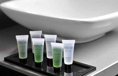 Chatelain Hotel | Hotel Agenda Louise