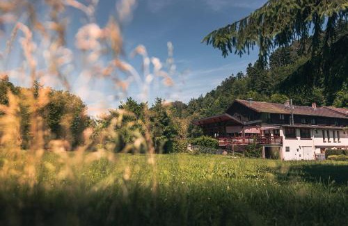 Graufthal Hotel | Hotel Au Vieux Moulin