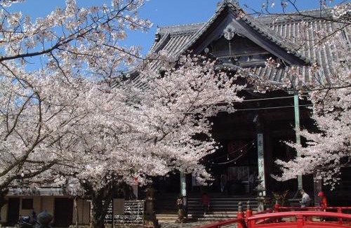 Wakayama Hotel | Hotel Avalorm Kinokuni