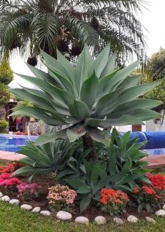 Tepoztlan Hotel | Hotel Boutique Bacaanda