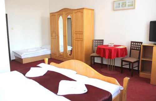 Cesky Tesin Hotel | Hotel Central