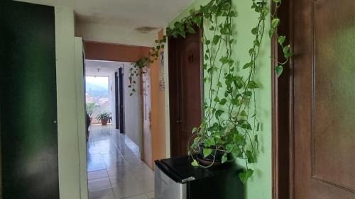 Zacatlan House | Hotel El Eden 2 pers 12