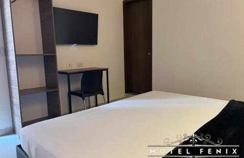 Ocana Hotel | Hotel Fenix