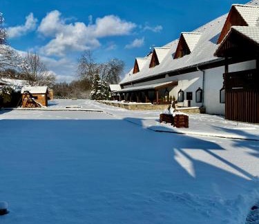 Petrovice u Susice Hotel | Hotel Jiřičná