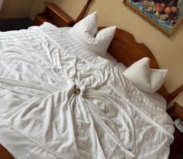 Bad Schlema House | Hotel Leonis