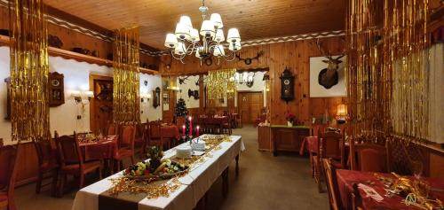 Janske Lazne Hotel | Hotel Lesní dům