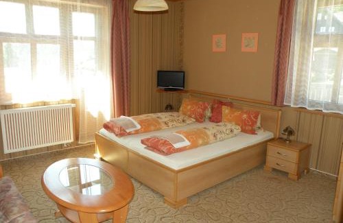 Janske Lazne Hotel | Hotel Lesní dům