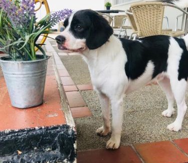 Melgar Hotel | HOTEL MACEO MELGAR