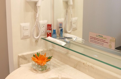 San Luis Potosi Hotel | Hotel Misión Express San Luis Potosí