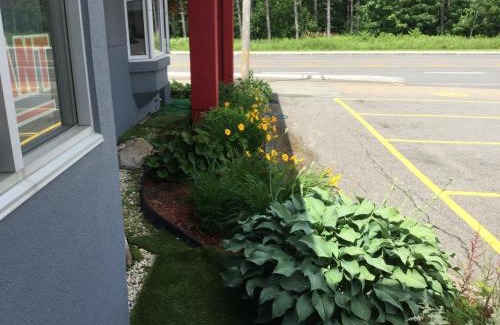 Levis Hotel | Hotel Motel Hospitalité