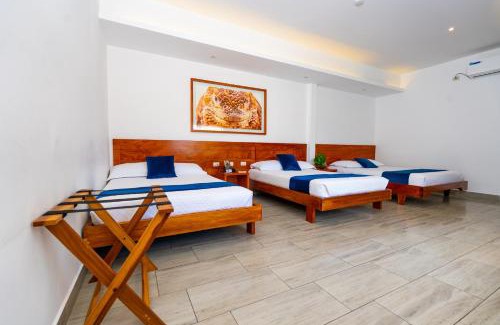Bahia de la Academia Hotel | Hotel Ninfa