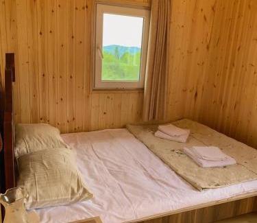 Zeda Gordi House | Hotel Okatsia სასტუმრო ოკაცია