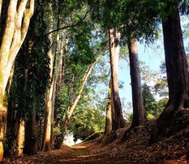 Pereira Hotel | Hotel Pueblito Cafetero