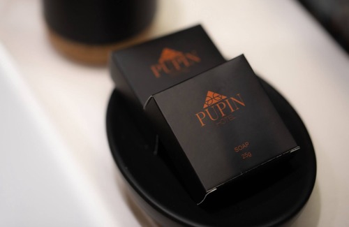 Novi Sad Hotel | Hotel Pupin