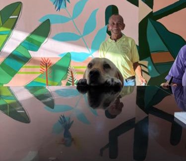 Bocagrande Hotel | Hotel Rosandy Galaxy