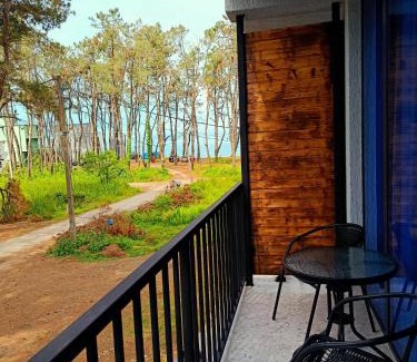 Shekhvetili House | Hotel Umbrella