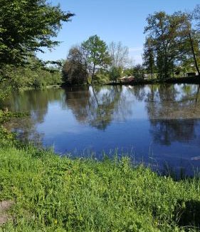 Zittau Hotel | Hotel Weberhof