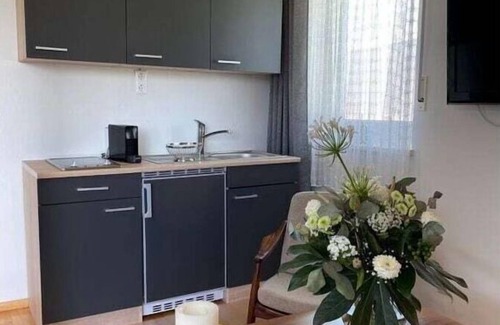 Gaienhofen House | House in the countryside on Lake Constance