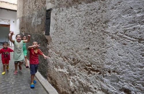 Dar Tazi Villa | House in the old Medina of Fez