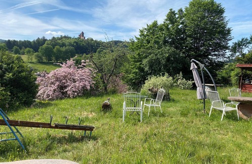 Erlenbach bei Dahn House | House of comfort; biologically renovated half-timbered building with a modern ambience
