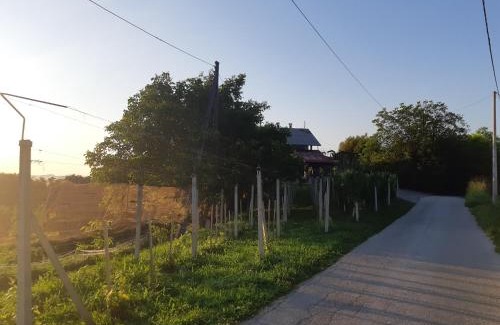 Kraljevec Sesvetski House | House of The Red Poppy