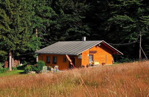 Hauzenberg Apartment | House on the mountain meadow with wood-burning stove
