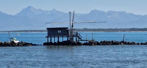 Marina di Pisa Apartment | House Orilia in the green and by the sea