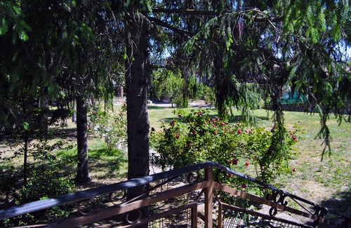 El Espinar House | House The Tree of Lilo, El Espinar