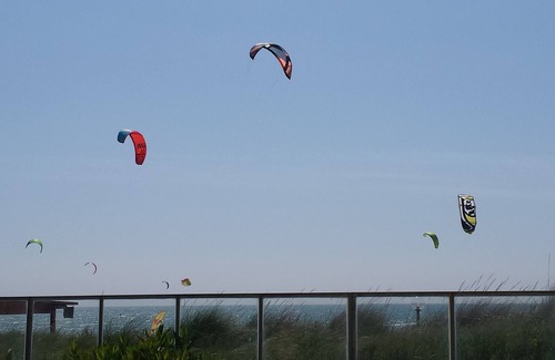 Lido dei Pini House | House/Villa - Anzio