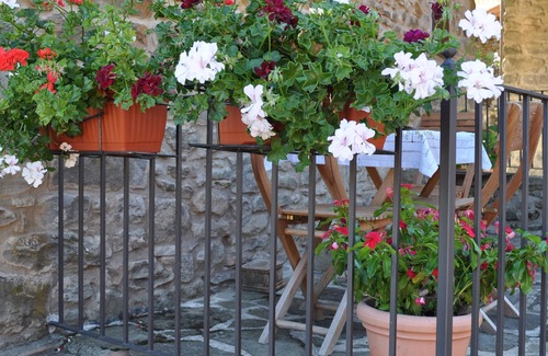 Raggiolo House | House/Villa - Ortignano-RaggioloHouse with garden (Florance and Arezzo)