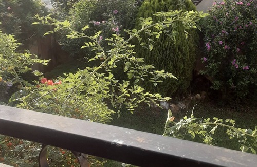 Cour-Maugis sur Huisne Apartment | House with garden in typical Percheron village