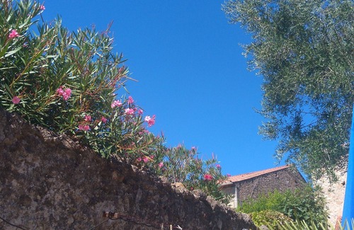 Cazouls-les-Beziers House | House with outdoor space. Small swimming pool and barbecue