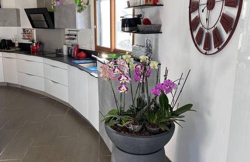 Trevignon House | House with sea view, walking distance to the beach, enclosed garden