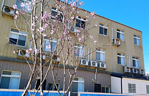 Jinning House | Hsiao Yuan Inn