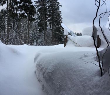 Harrachov Ski Chalet | HT Chalets Harrachov