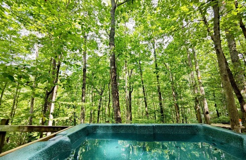Monteagle Cabin | Hummingbird Treehouse Getaway w/Hot Tub & Firepit