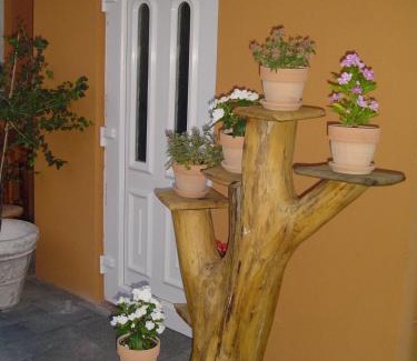 Sturovo House | Hunter