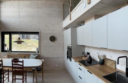 Sirdal House | Hytte i fin høyfjellsnatur, Sirdal nær Kjerag