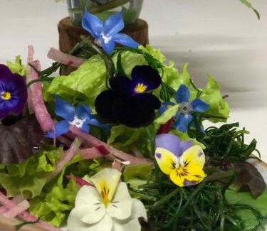 Hakuba Hotel | Ichinokurasou